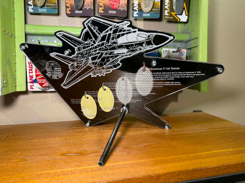 TDS F-14A Display